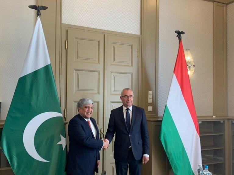 6th Round of Pakistan-Hungary Bilateral Political Consultations