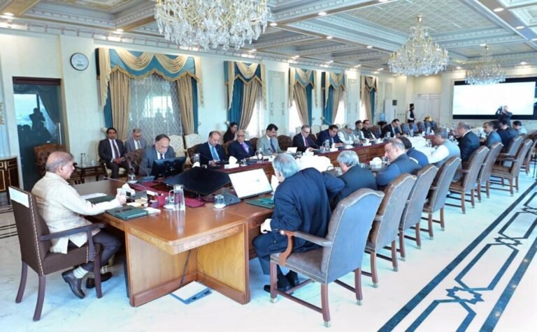 PM directs comprehensive  strategy to boost Pak-Azerbaijan economic  ies