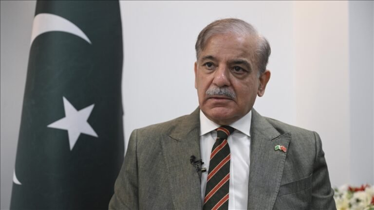 PM greenlights relocation of Chinese industries to Pakistan