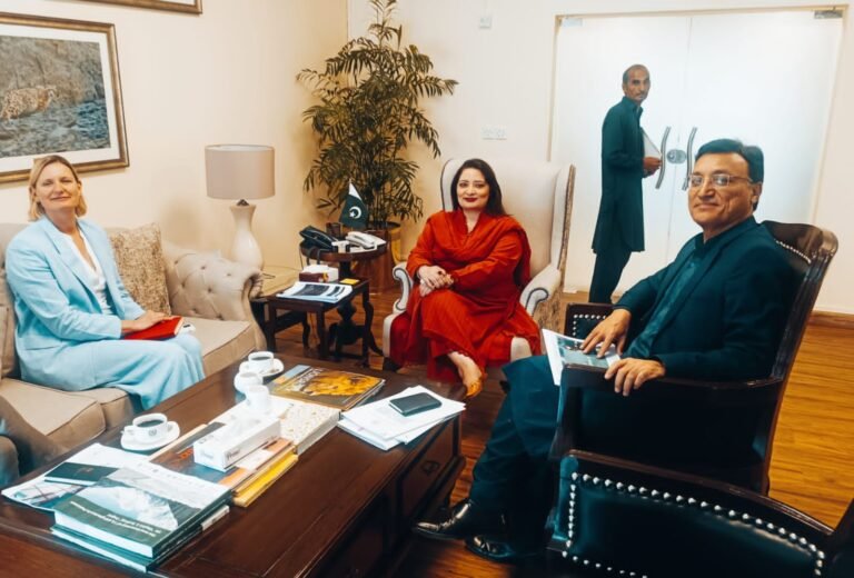Urgent need for tangible actions to mitigate global warming impacts: Romina Khurshid