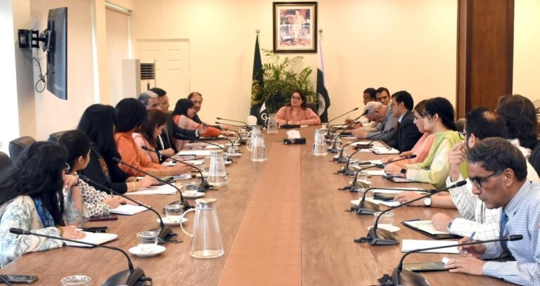 Robust plan must to showcase Pakistan’s resilience-building initiatives at COP29: Romina Khurshid