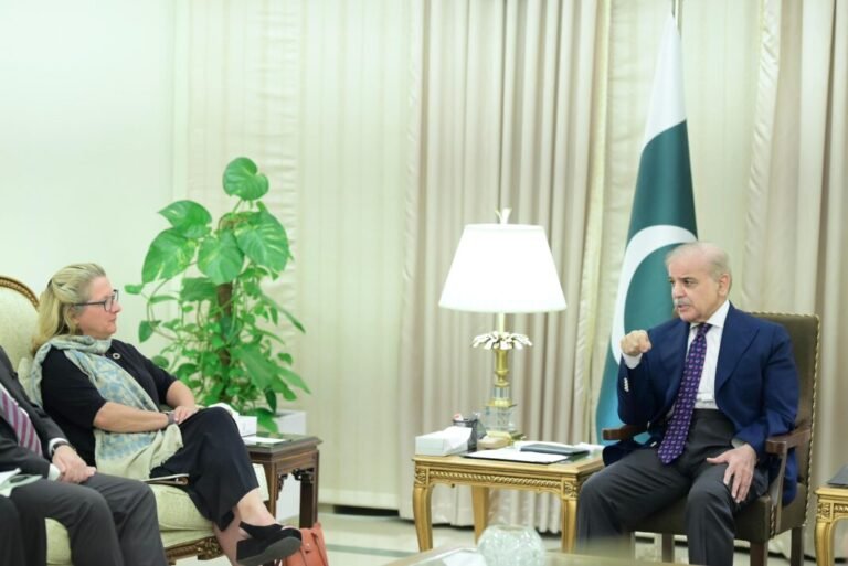 PM Shehbaz, German minister Schulze discuss strengthening economic ties