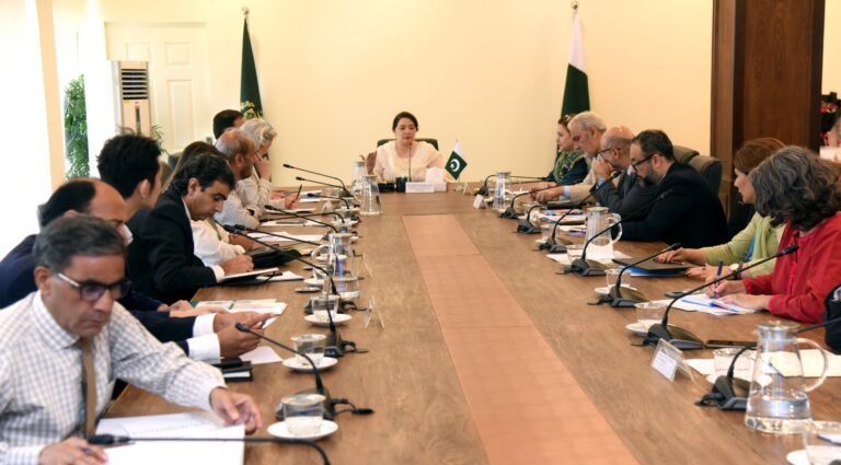 Prime Minster's Coordinator on Climate Change and Environment Coordination Rromina Khurshid Alam is addressing a meeting