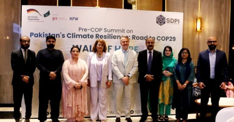 Pakistan must focus on climate diplomacy that respects regional values: Romina Khurshid