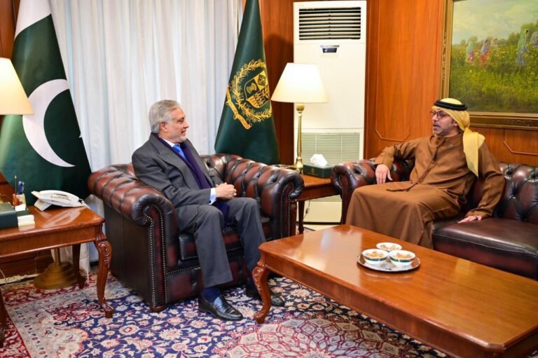 Ambassador of UAE meets Deputy Prime Minister Ishaq Dar, discusses bilateral cooperation and visa issues
