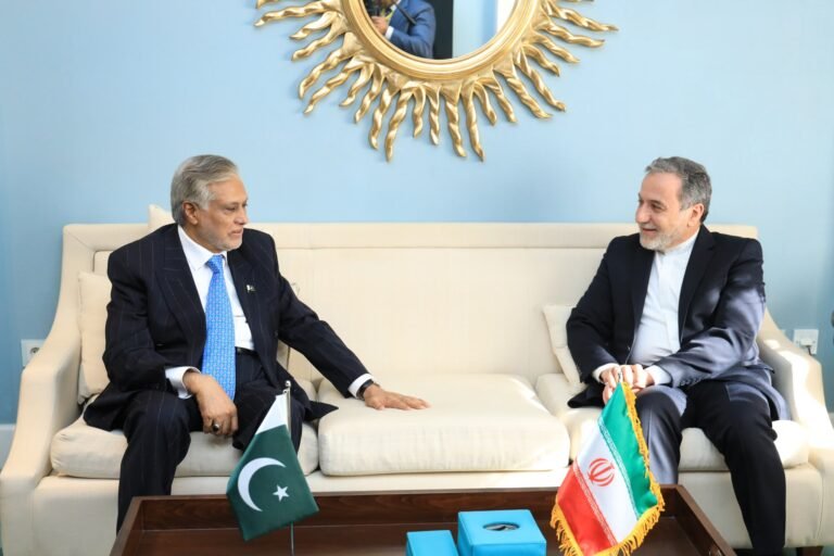 Dar, Araghchi hold talks on sidelines of D-8 Council of foreign ministers in Cairo