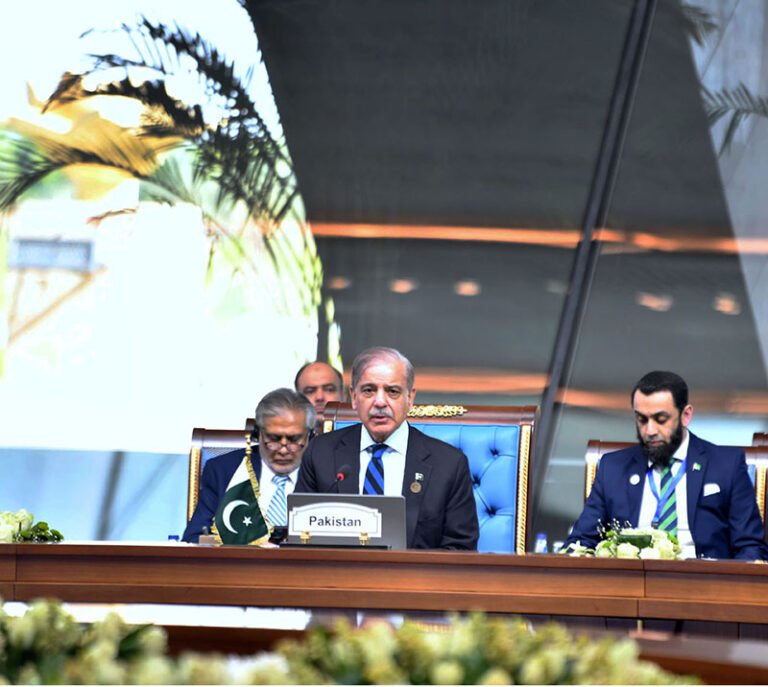 Investing in Youth, supporting SMEs, crucial for economic growth : Shehbaz Sharif
