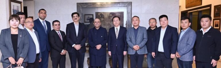 President Asif Zardari calls for economic Collaboration to Enhance Pakistan-China Relations