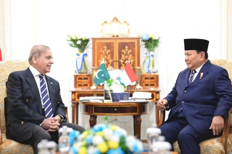 Prime Minister Shehbaz Sharif invites Indonesian President for official visit