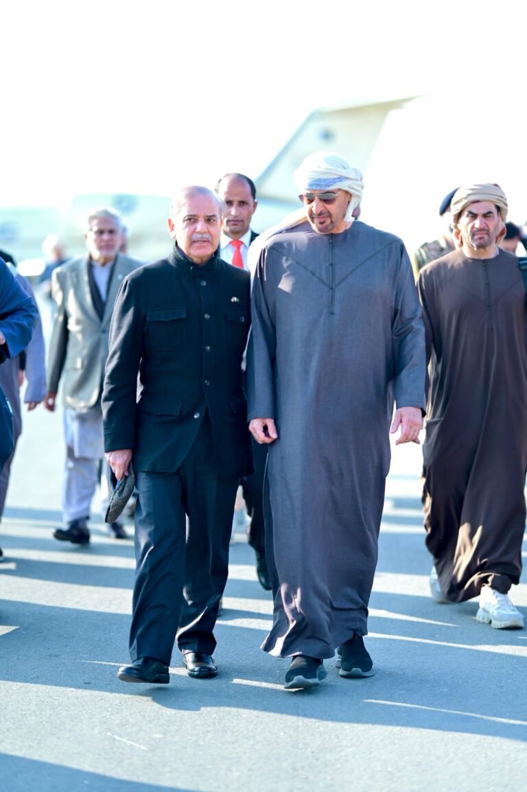 PM Shehbaz, UAE president discuss strategic Partnership