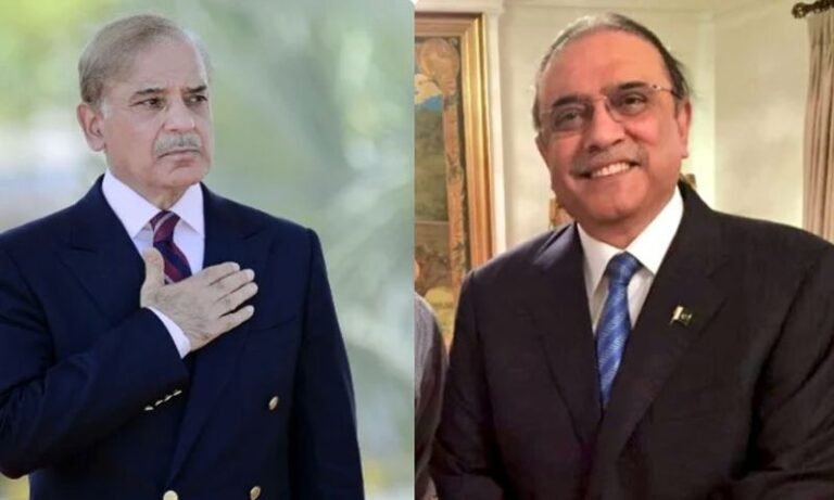 President Zardari and PM Shehbaz Extended Greetings to China on Lunar New Year