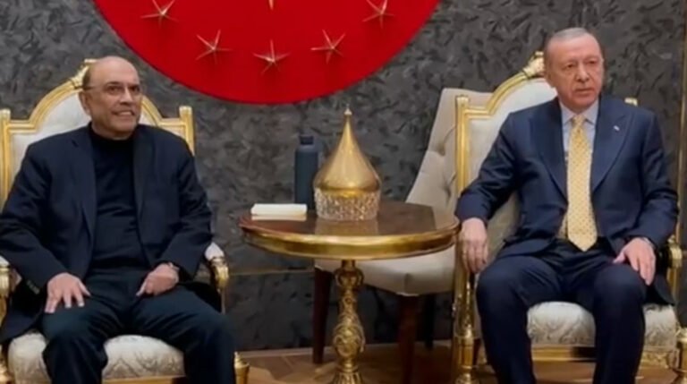 President Zardari, Turkish President Erdoğan Discuss Bilateral Ties in Istanbul
