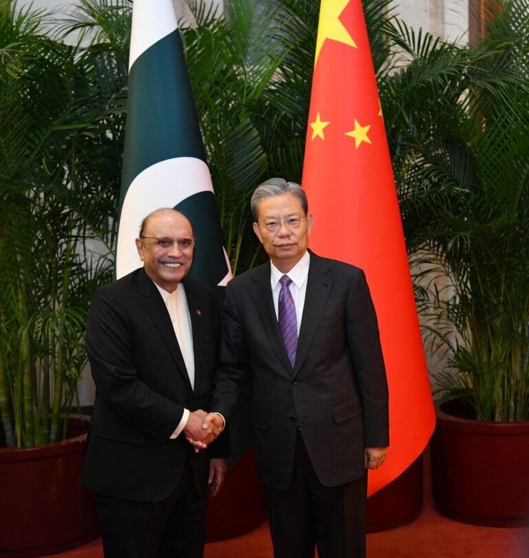 President Zardari Calls on Chairman of the Standing Committee of NPC, Zhao Leji