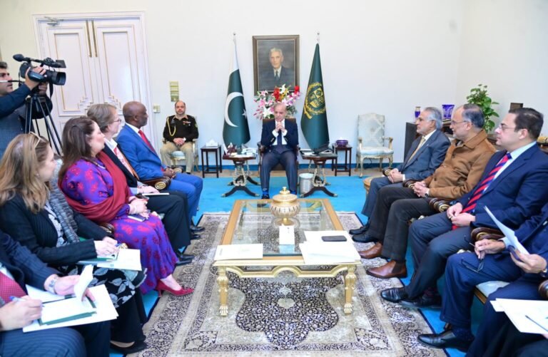 PM Shehbaz Reaffirms Pakistan’s Commitment to UN-Led Climate Action