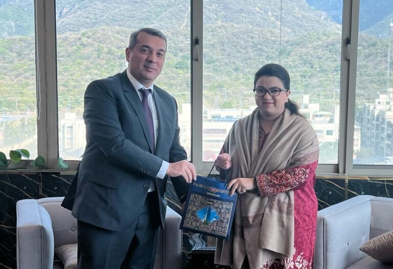 Pakistan, Azerbaijan Discuss Strengthening Digital Cooperation