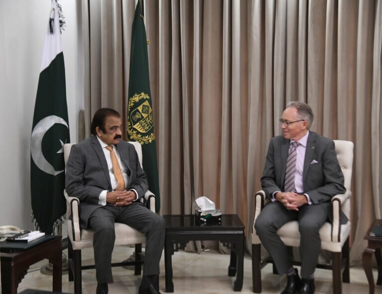 Sustainable development needs a strong economy and foreign ties: Rana Sana Ullah