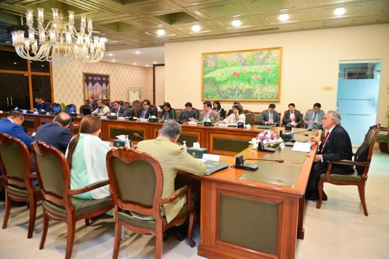 Deputy PM Directs Acceleration of Pakistan-Azerbaijan Investment Projects